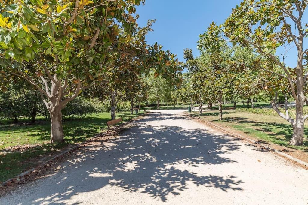 Estudio Acogedor En Zona Norte Madrid Ngoại thất bức ảnh